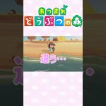 【あつ森】魚釣り！博物館への道のり　#ゲーム実況 #animalcrossing