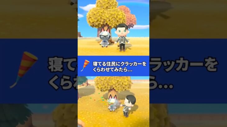 【あつ森】クラッカー #あつ森 #あつまれどうぶつの森 #プチ知識 #ゲーム実況 #どうぶつの森 #animalcrossing