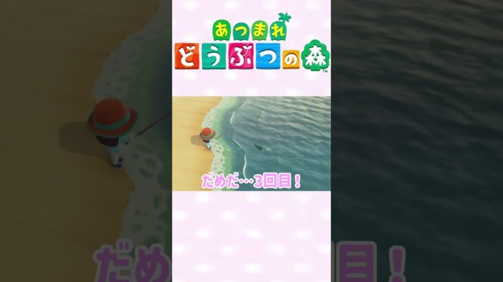 【あつ森】凹むことがあったら、次はいい事が起こる♪ #ゲーム実況 #animalcrossing