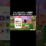 ジュンこっち向いて📸 #あつ森 #あつまれどうぶつの森 #あつ森好きな人と繋がりたい #animalcrossing #ゆめみ #おかめなっ島 #acnh #comedy #halloween
