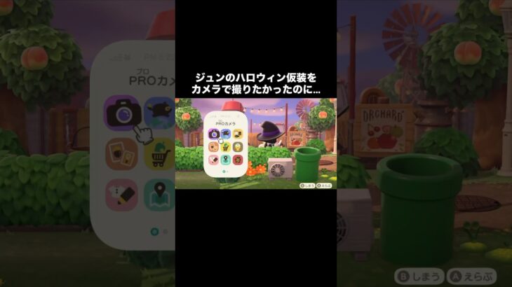 ジュンこっち向いて📸 #あつ森 #あつまれどうぶつの森 #あつ森好きな人と繋がりたい #animalcrossing #ゆめみ #おかめなっ島 #acnh #comedy #halloween