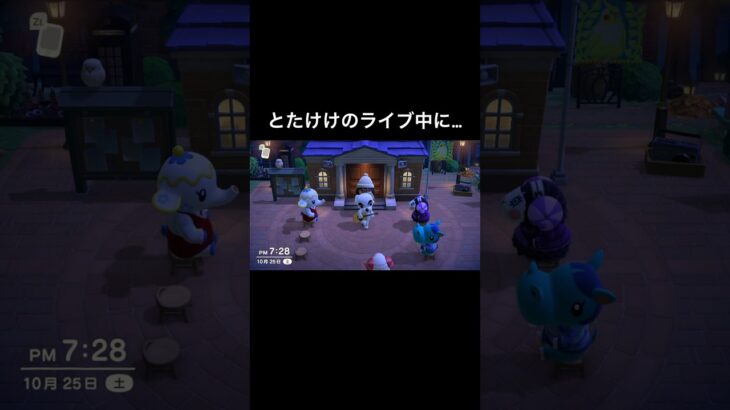 ドイヒーな住民たち😭 #あつ森 #あつまれどうぶつの森 #あつ森好きな人と繋がりたい #animalcrossing #ゆめみ #おかめなっ島 #acnh #comedy #live #ドイヒー