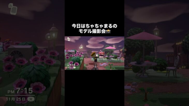 モデル撮影会📸 #あつ森 #あつまれどうぶつの森 #あつ森好きな人と繋がりたい #animalcrossing #ゆめみ #おかめなっ島 #acnh #comedy #photo #shorts