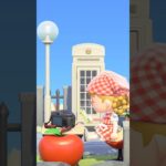 チューリップ畑に囲まれた道🌷#あつ森 #あつまれどうぶつの森 #どうぶつの森 #島クリエイト #animalcrossing #acnh #short動画