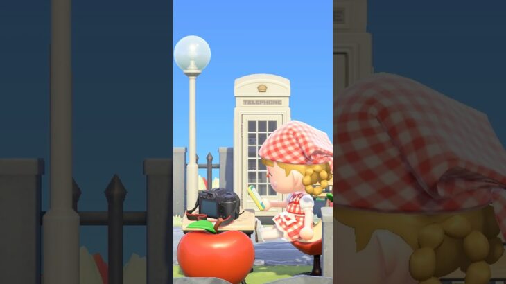 チューリップ畑に囲まれた道🌷#あつ森 #あつまれどうぶつの森 #どうぶつの森 #島クリエイト #animalcrossing #acnh #short動画