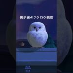フクロウ観察日記🦉 #あつ森 #あつまれどうぶつの森 #あつ森好きな人と繋がりたい #animalcrossing #ゆめみ #おかめなっ島 #acnh #フクロウ #観察 #shorts #鳥