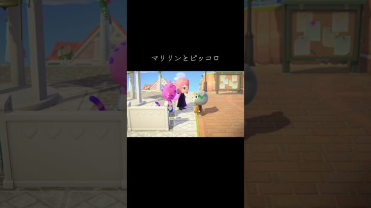 #あつ森 #あつまれ動物の森 #動森#動物森友會 #マリリン#ピッコロ#animalcrossing #animalcrossingnewhorizons