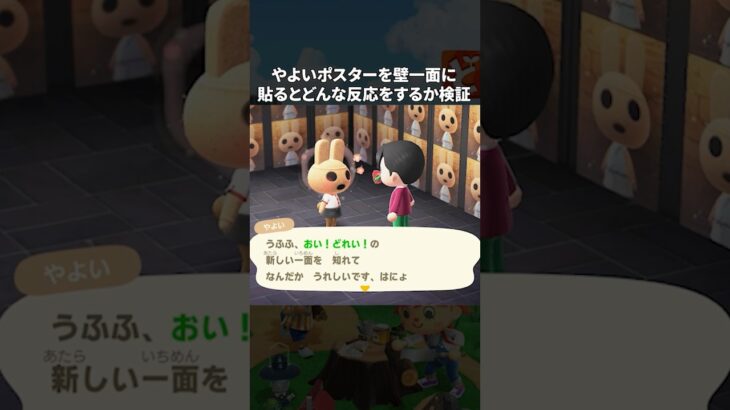 【あつ森】住民のポスターを壁一面に貼ったら特別な反応が見られるのか #あつ森 #あつまれどうぶつの森 #スローライフ #ゲーム #どう森 #animalcrossing #shorts #やよい