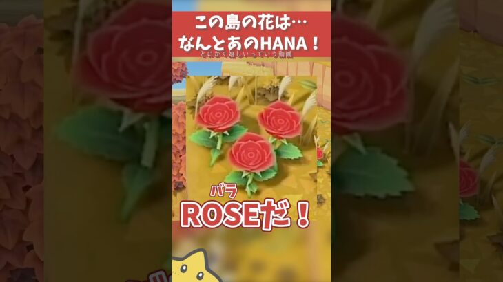 青いバラ咲かせたいな#あつまれどうぶつの森 #あつ森 #あつまれどうぶつの森 animalcrossing #shorts