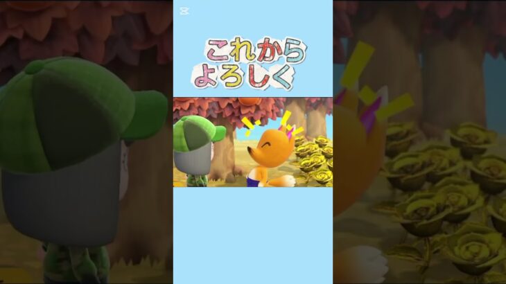 【#あつ森 #animalcrossing 】誰かいたw