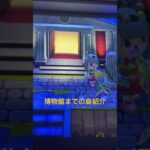 博物館へ向かう島紹介＃あつ森＃あつまれどうぶつの森 ＃島クリ＃島クリエイター＃ハピパラ ＃animalcrossing＃acnh＃みすず＃島紹介＃どうぶつの森＃ハッピーホームパラダイス