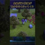 慎重過ぎるサソリの捕獲 #あつ森 #あつまれどうぶつの森 #animalcrossingnewhorizons #acnh #ゲーム #shorts