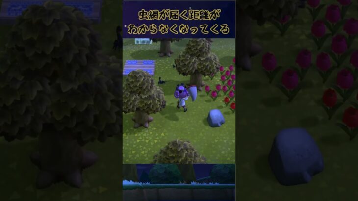 慎重過ぎるサソリの捕獲 #あつ森 #あつまれどうぶつの森 #animalcrossingnewhorizons #acnh #ゲーム #shorts