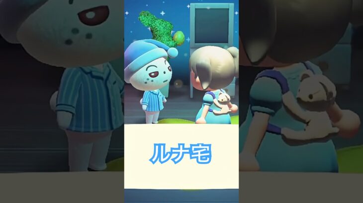 ルナのおうち #あつ森 #dantdmanimalcrossing #あつまれどうぶつの森 #acnh