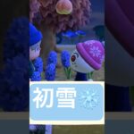 冬だね #あつ森 #dantdmanimalcrossing #acnh #あつまれどうぶつの森 #animalcrossing