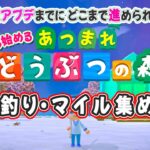 【あつ森】地道ベル稼ぎ・釣り・虫取りetc 大型アプデまでに返済できるのか？🎬15 #switch #あつ森 #大型アプデまでに