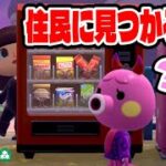 【あつ森】住民に見つからずミッションをこなせ！メタルギあつ森 in ハロウィン【あつまれどうぶつの森】