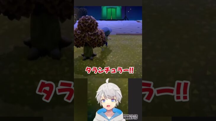 【 あつ森レア!!】タランチュラになろ屋遭遇！ #なろ屋 #めろぱか #meropro #あつまれどうぶつの森 #切り抜き