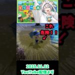 久しぶりのあつ森で危険生物に遭遇！？ #meropro #めろんぱーかー #なろ屋 #あつ森 #切り抜き #shorts