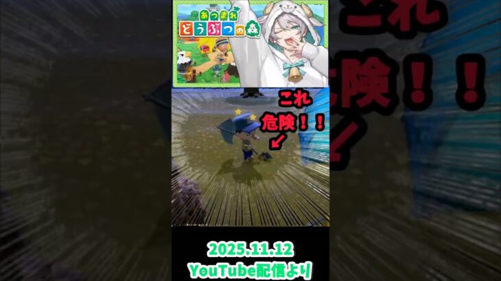 久しぶりのあつ森で危険生物に遭遇！？ #meropro #めろんぱーかー #なろ屋 #あつ森 #切り抜き #shorts