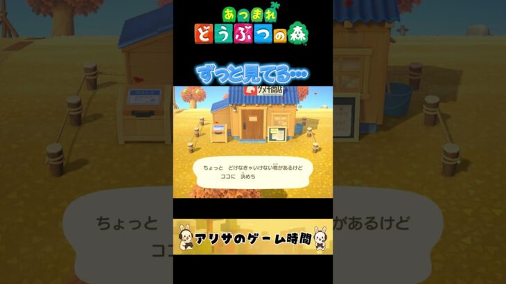 ずっと見てる・・【あつ森】#ゲーム実況 #nintendo #nintendoswitch #あつ森  #あつまれどうぶつの森 #shorts