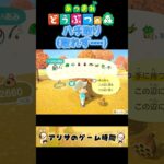ハチ取り【あつ森】#ゲーム実況 #nintendo #nintendoswitch #あつ森  #あつまれどうぶつの森 #shorts