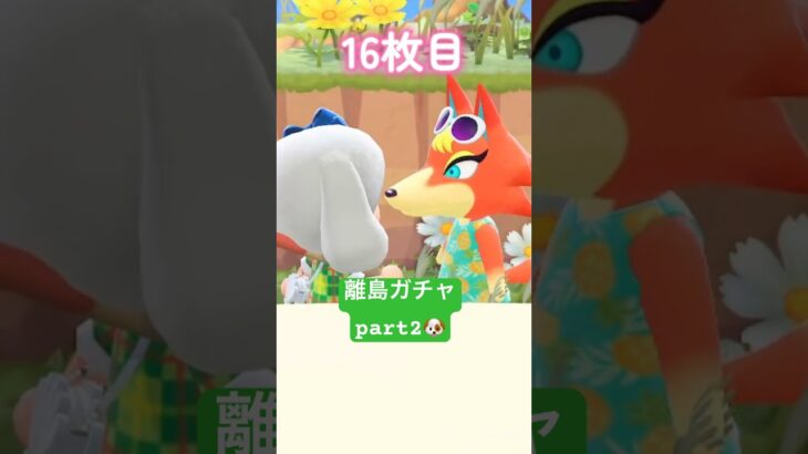 【あつ森】ワンワン島離島ガチャpart2🐶