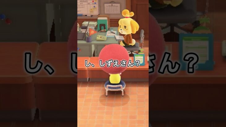 【目合ってるよね？】#あつ森 #pppp #しずえさん #anch #animalcrossing