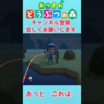 あつ森　レア魚チャレンジ　 #shoot　#あつ森　#あつもり　#あつまれどうぶつの森　 #ゲーム実況　#AnimalCrossing