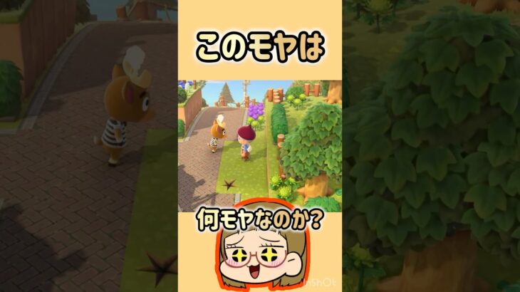 【あつ森】チャックに引っ越しモヤ？何モヤ？😎#あつ森 #あつまれどうぶつの森 #ともちんのゲーム部屋 #short #shorts