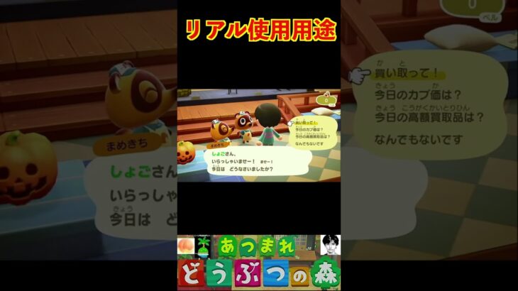 リアル使用用途 #あつまれどうぶつの森 #shorts #あつ森