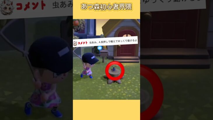 #あつ森 #あつまれどうぶつの森 #shorts あつ森初心者界隈