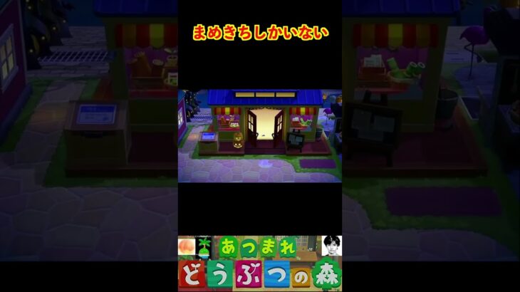 まめきちしかいない #あつまれどうぶつの森 #shorts #あつ森
