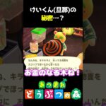 けいくん(旦那)の秘密とは…?! #あつ森  #shorts #けいとかんな