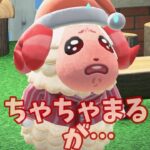 【あつ森】ちゃ、ちゃちゃまるううううう？！？！ #shorts #あつ森 #あつまれどうぶつの森 #実況