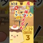 【あつまれどうぶつの森】#shorts #あつ森 #おはよう配信