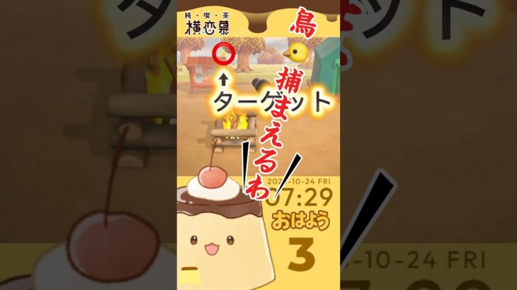 【あつまれどうぶつの森】#shorts #あつ森 #おはよう配信