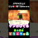 パタヤさんの寝言がすごいｗｗｗ #あつ森  #shorts #けいとかんな