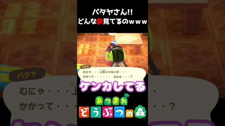 パタヤさんの寝言がすごいｗｗｗ #あつ森  #shorts #けいとかんな