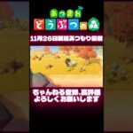 ＃あつ森　＃shorts　素材集めがてら岩をたたいていたらまさかの