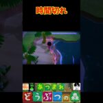 時間切れ #あつまれどうぶつの森 #shorts #あつ森
