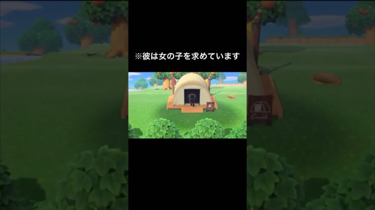 【あつ森】キャンプサイト初めてのお客さんは一体誰！？【あつまれどうぶつの森】#shorts #ゲーム実況 #どうぶつの森