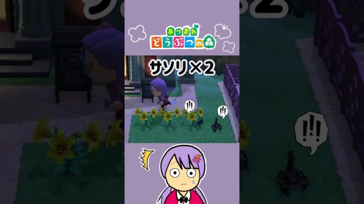 平和の足元に【あつまれどうぶつの森 】 #shorts #あつ森