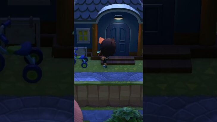 【あつ森】寝ている住民の家のドアをスコップで叩くと、起きる説。　#shorts #あつ森