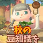 【あつ森】秋に役立つ豆知識を紹介する・・・🍁 #shorts #あつ森 #あつまれどうぶつの森 #ゲーム実況