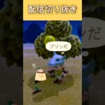 #あつ森  #shorts  #あつまれどうぶつの森  プリンのなる木