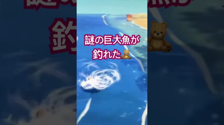 あつ森で謎の巨大魚が釣れた⁉️🐟 #あつ森 #どうぶつの森 #shorts