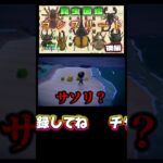 プラチナコガネ捕獲大作戦！【あつ森】【あつまれどうぶつの森】 #あつまれどうぶつの森 #あつ森 #どうぶつの森 #ゲーム実況 #ゲーム #shorts