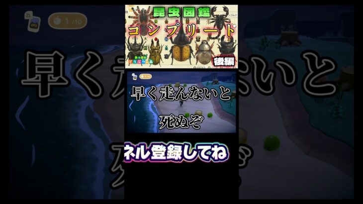 入手困難プラチナコガネ【あつ森】【あつまれどうぶつの森】 #あつまれどうぶつの森 #あつ森 #どうぶつの森 #ゲーム実況 #ゲーム #shorts