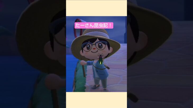 【あつ森】ホタル捕まえたよ @たーさんの趣味の部屋 #たーさん昆虫記#shorts